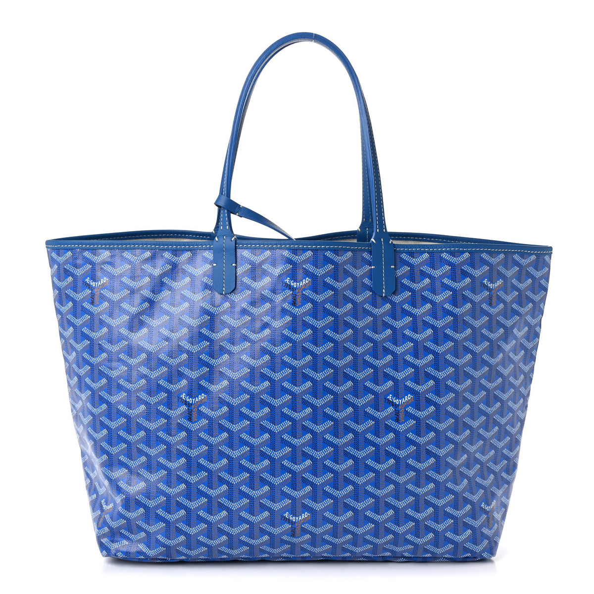 Goyard Goyardine Saint Louis PM Sky Blue 1 of 11