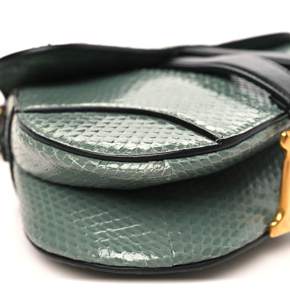 Christian Dior Beaded Calfskin Snakeskin Mini Saddle Bag Green 9 of 10