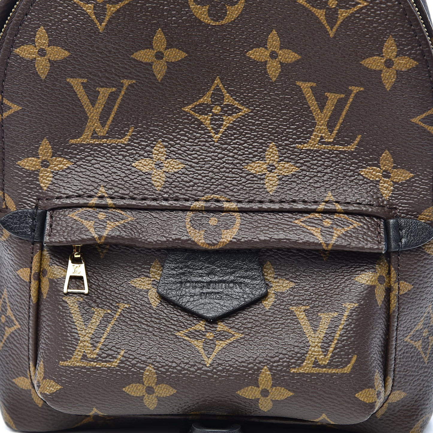 Monogram Palm Springs Backpack Mini
