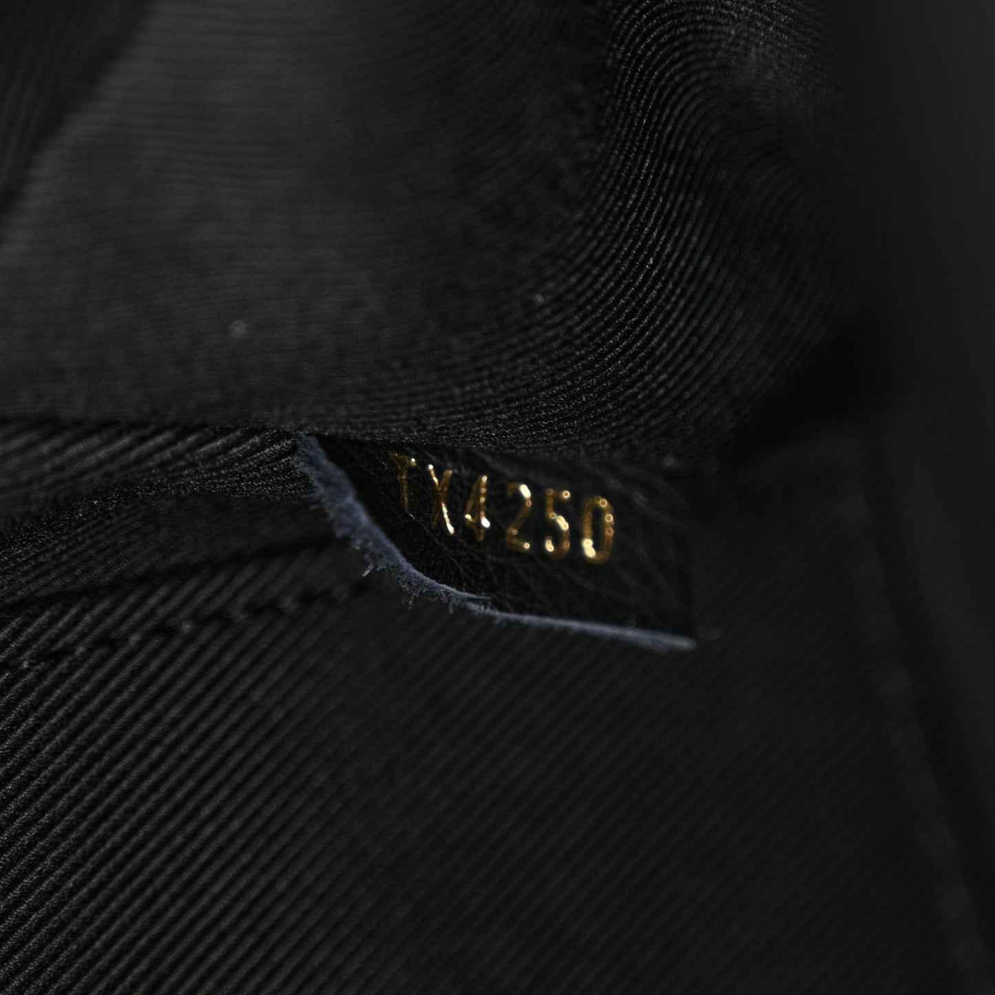 Monogram Palm Springs Backpack Mini