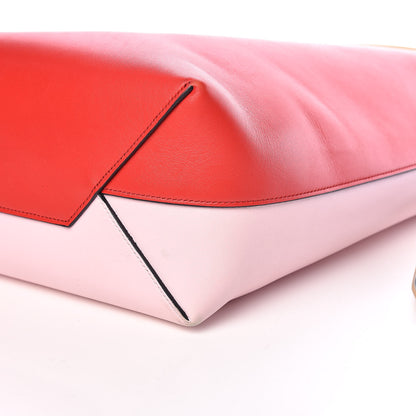 Celine Shiny Smooth Calfskin Small Twisted Cabas Chili Pale Pink 7 of 14