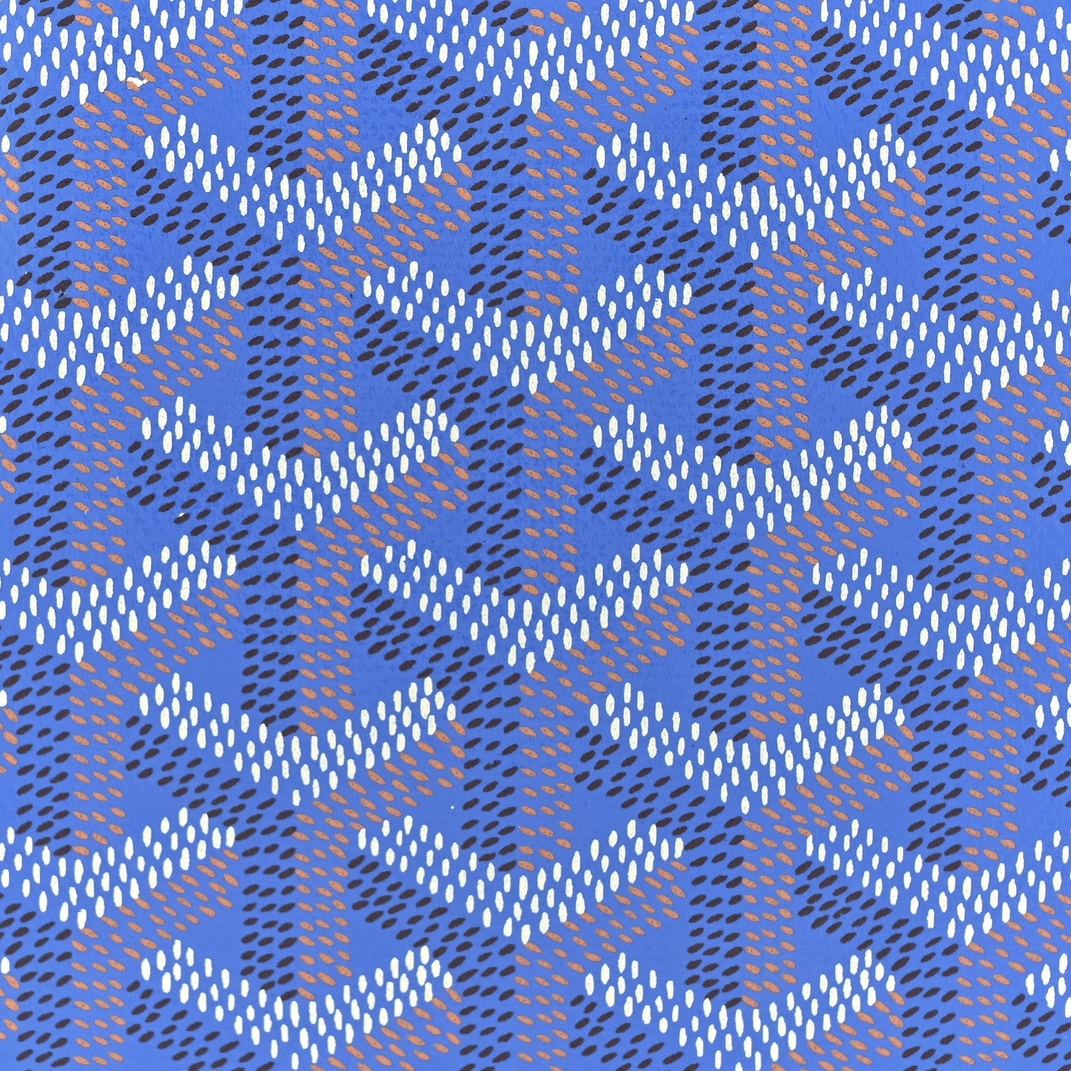 Goyard Goyardine Reversible Mini Anjou Sky Blue 13 of 22