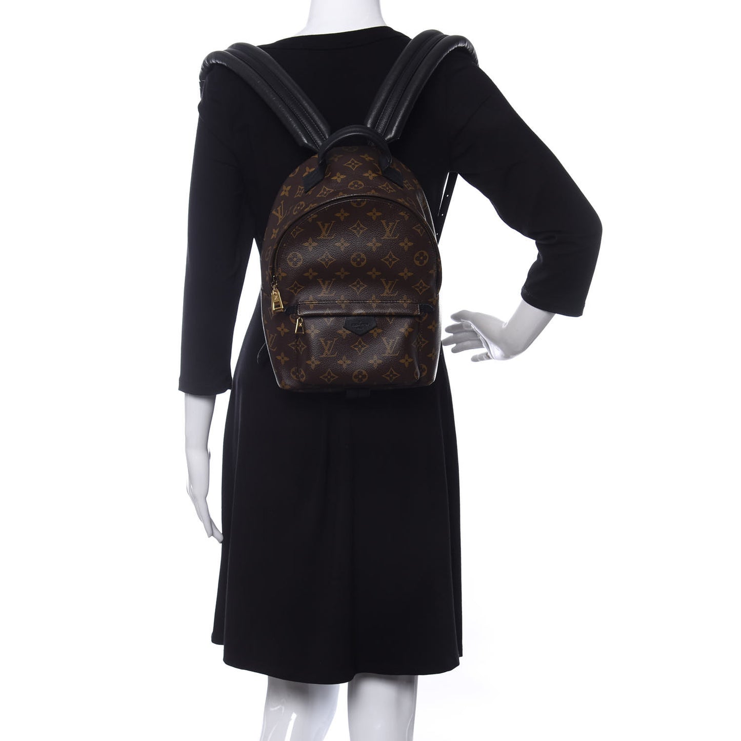 Monogram Palm Springs Backpack PM