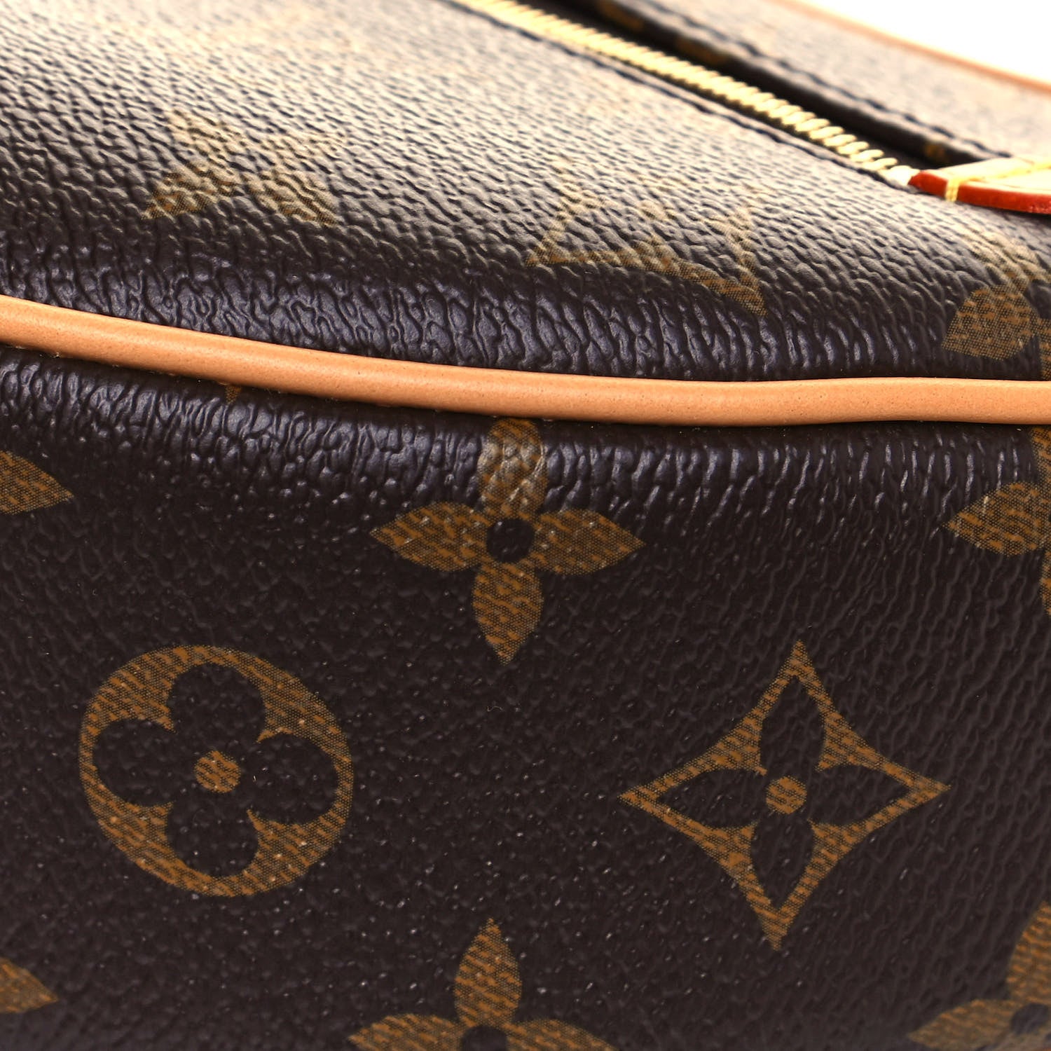 Louis Vuitton Monogram Loop 9 of 12