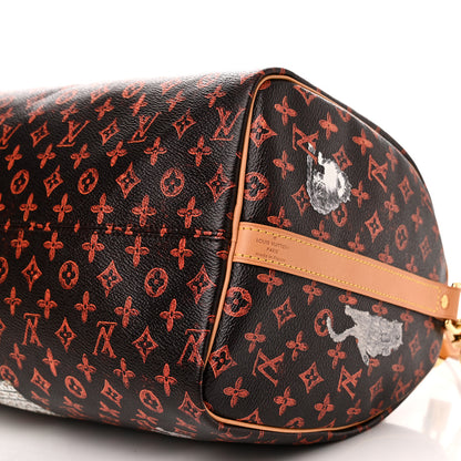 Louis Vuitton Catogram Speedy Bandouliere 30 Marron 10 of 10