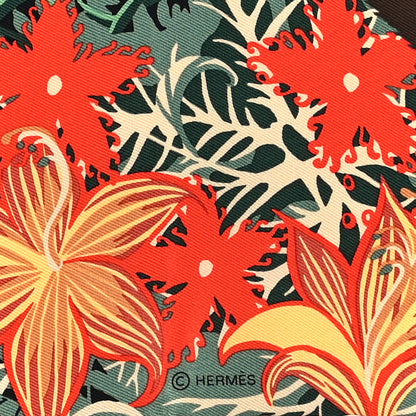 Hermes Silk Tyger Tyger Scarf 70 Black Beige Corail 3 of 4