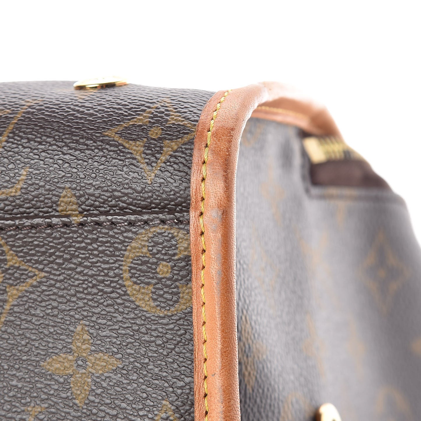 Monogram Baxter PM Dog Pet Carrier