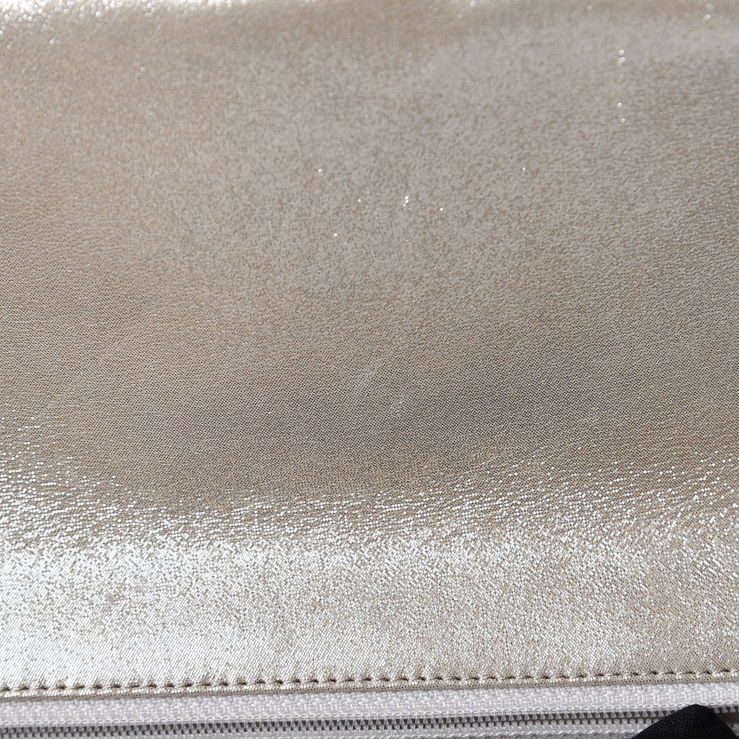 Iridescent Calfskin Quilted Large Roll 2.55 Reissue Clutch Light Gold