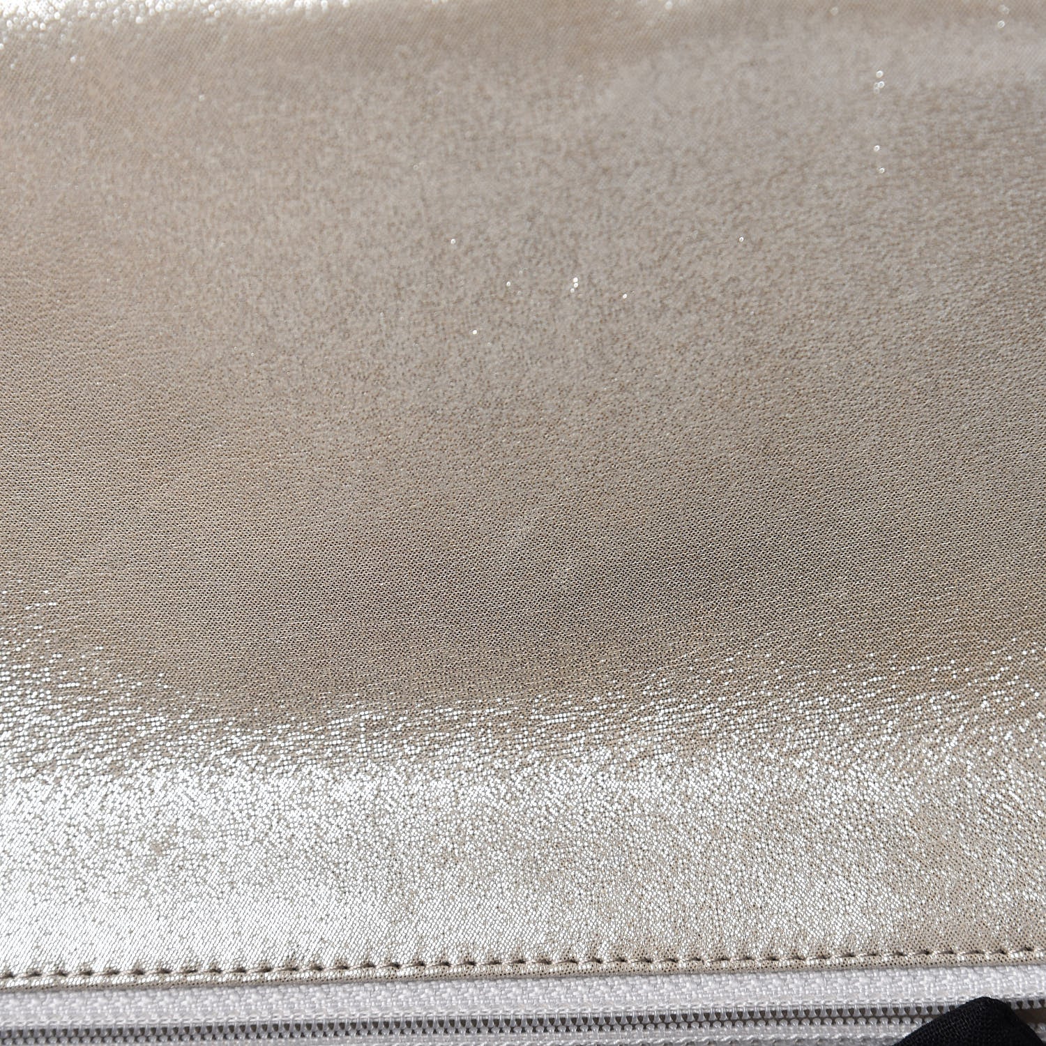 Chanel Iridescent Calfskin Quilted Large Roll 2.55 Reissue Clutch Light Gold 10 of 10