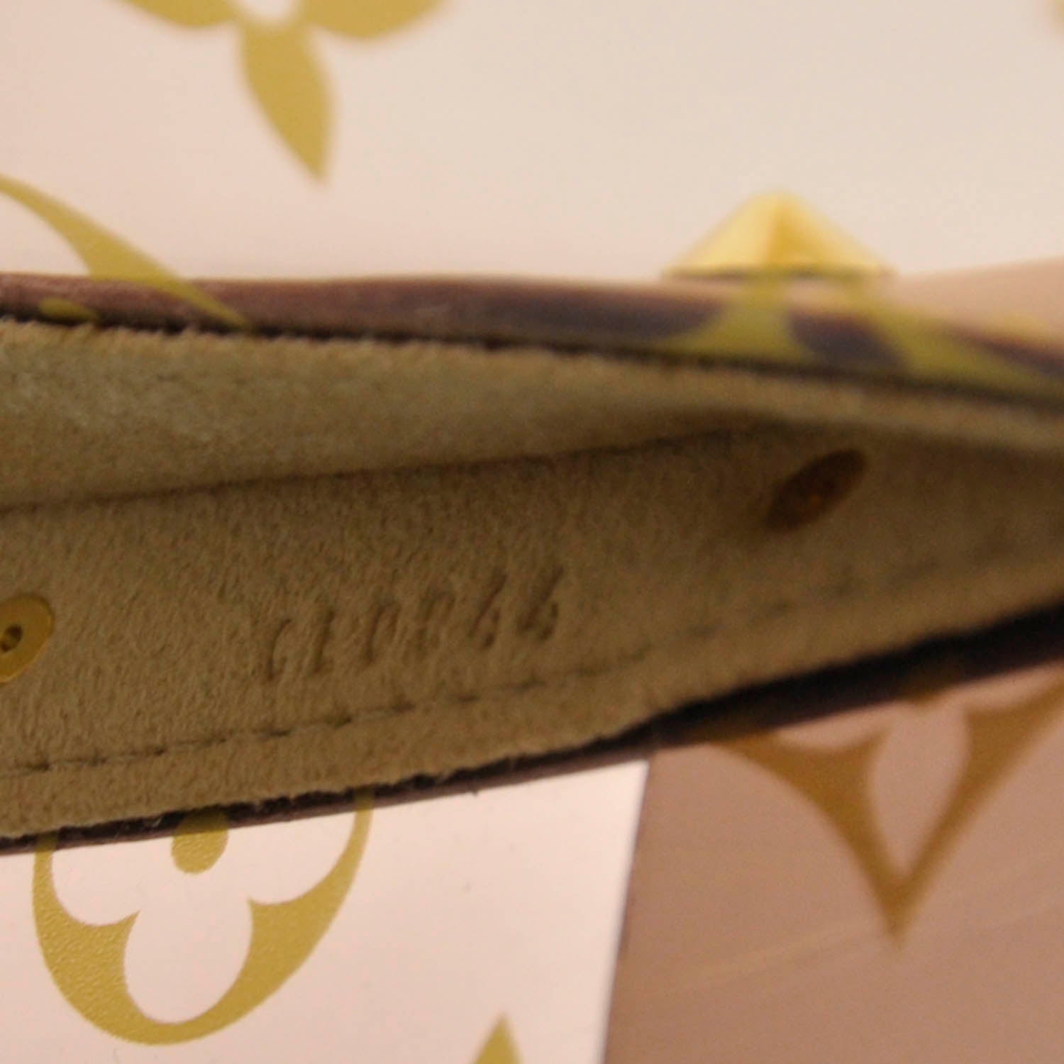 Louis Vuitton Ambre Neo Cabas MM 9 of 9
