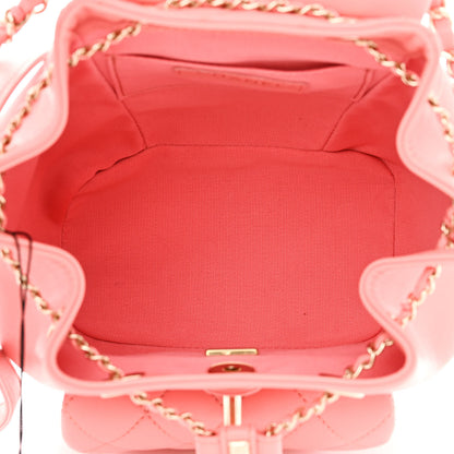 Chanel Lambskin Quilted Small Duma Drawstring Backpack Pink 5 of 10