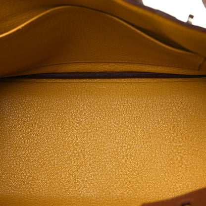 Hermes Togo Swift Officier Birkin 25 Gold Ambre 5 of 13