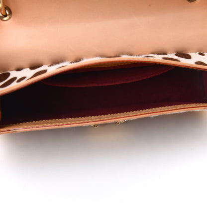 Louis Vuitton Monogram Multicolor Dalmatian Sac Rabat 8 of 16