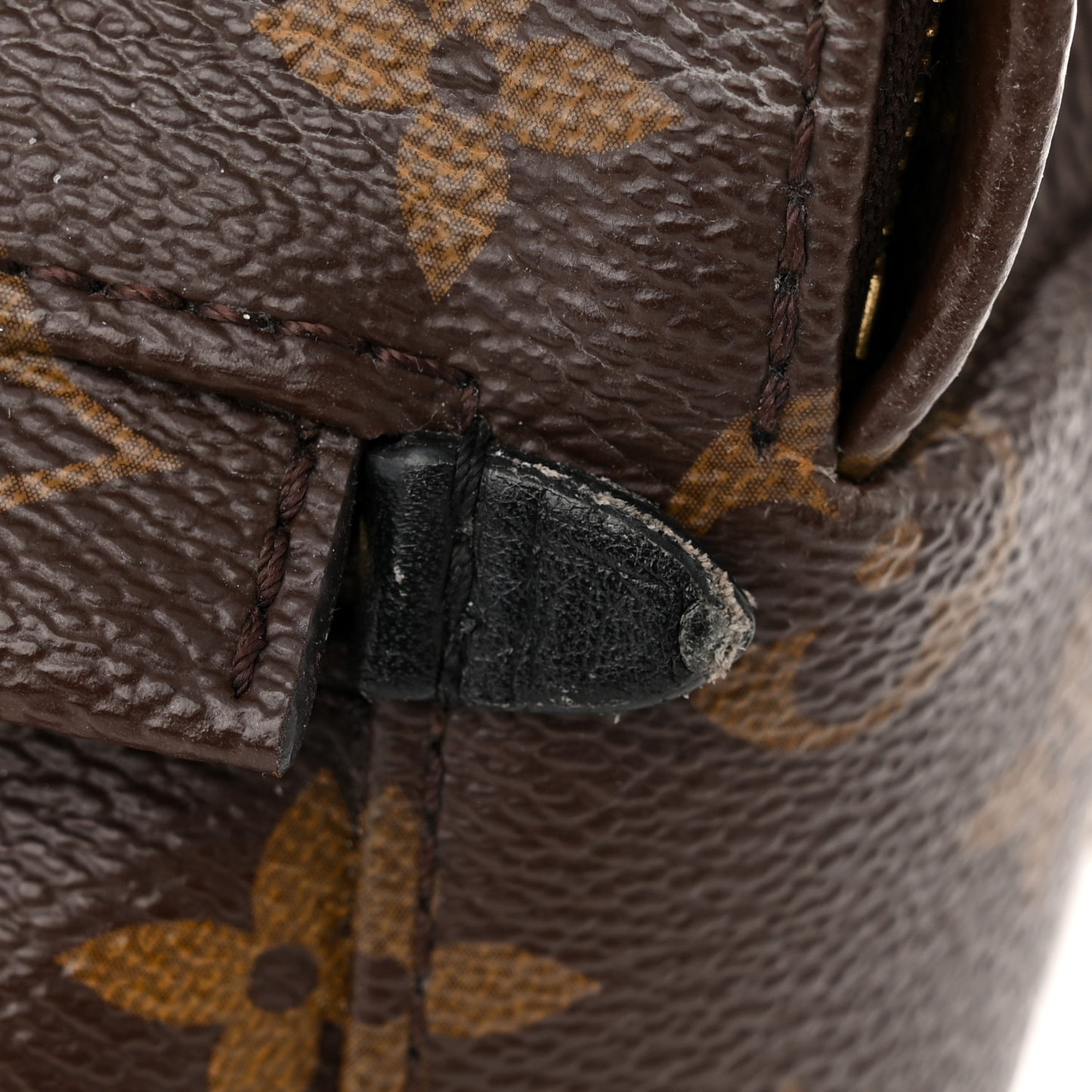 Monogram Palm Springs Backpack Mini