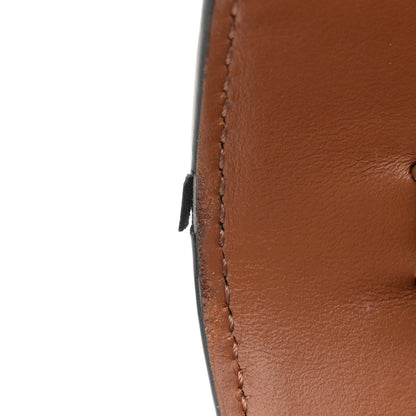 Celine Triomphe Canvas Lambskin Wallet On Strap Tan 16 of 17