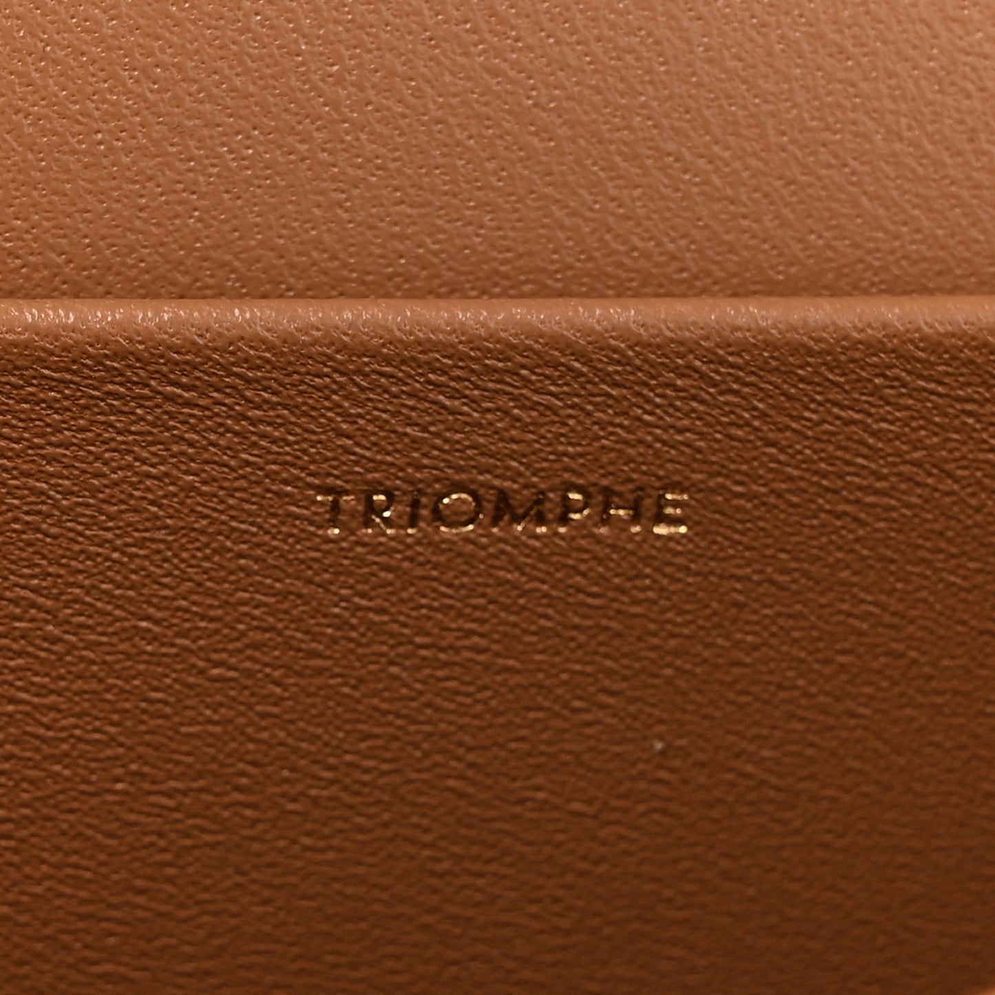 Shiny Calfskin Medium Triomphe Bronze