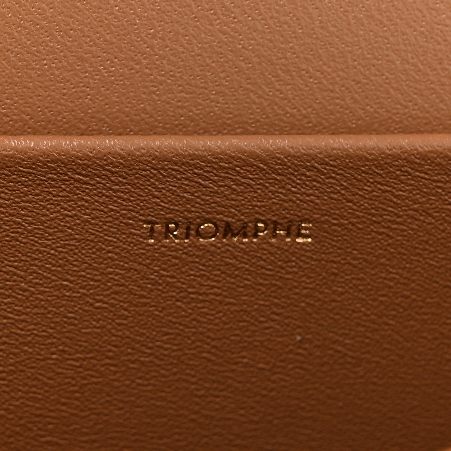 Celine Shiny Calfskin Medium Triomphe Bronze 8 of 12