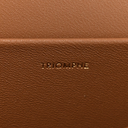 Celine Shiny Calfskin Medium Triomphe Bronze 8 of 12