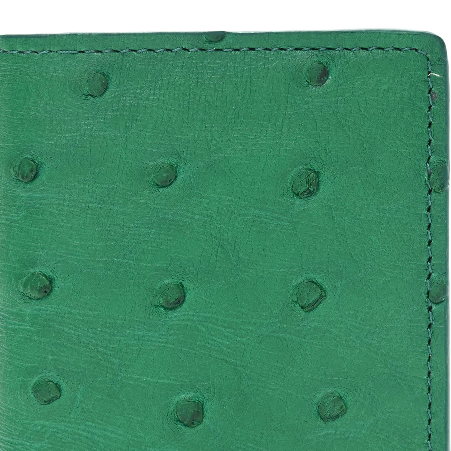 Ostrich Pocket Organizer Vert