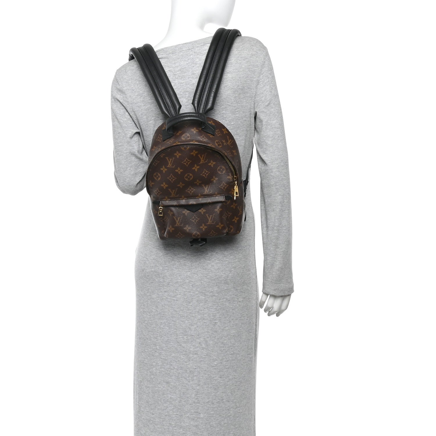 Louis Vuitton Monogram Palm Springs Backpack PM 2 of 12