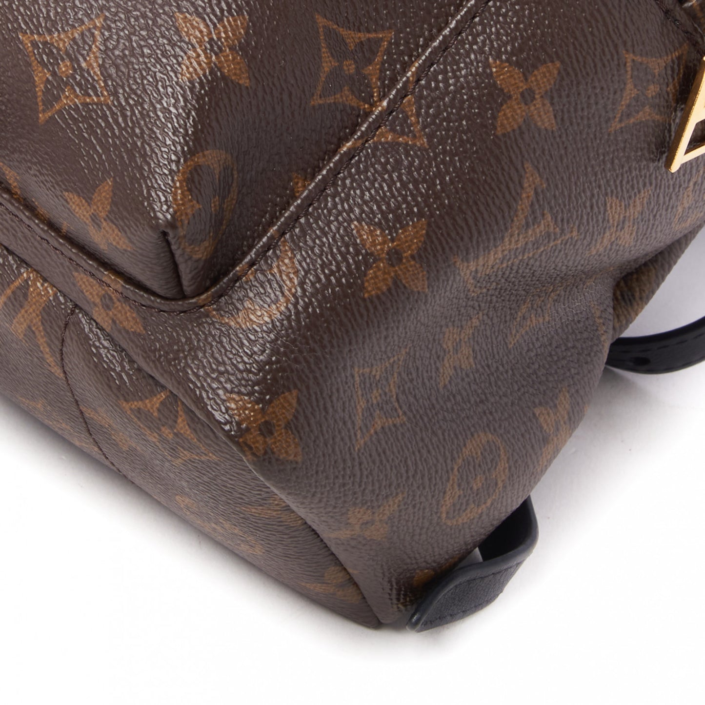 Monogram Palm Springs Backpack PM
