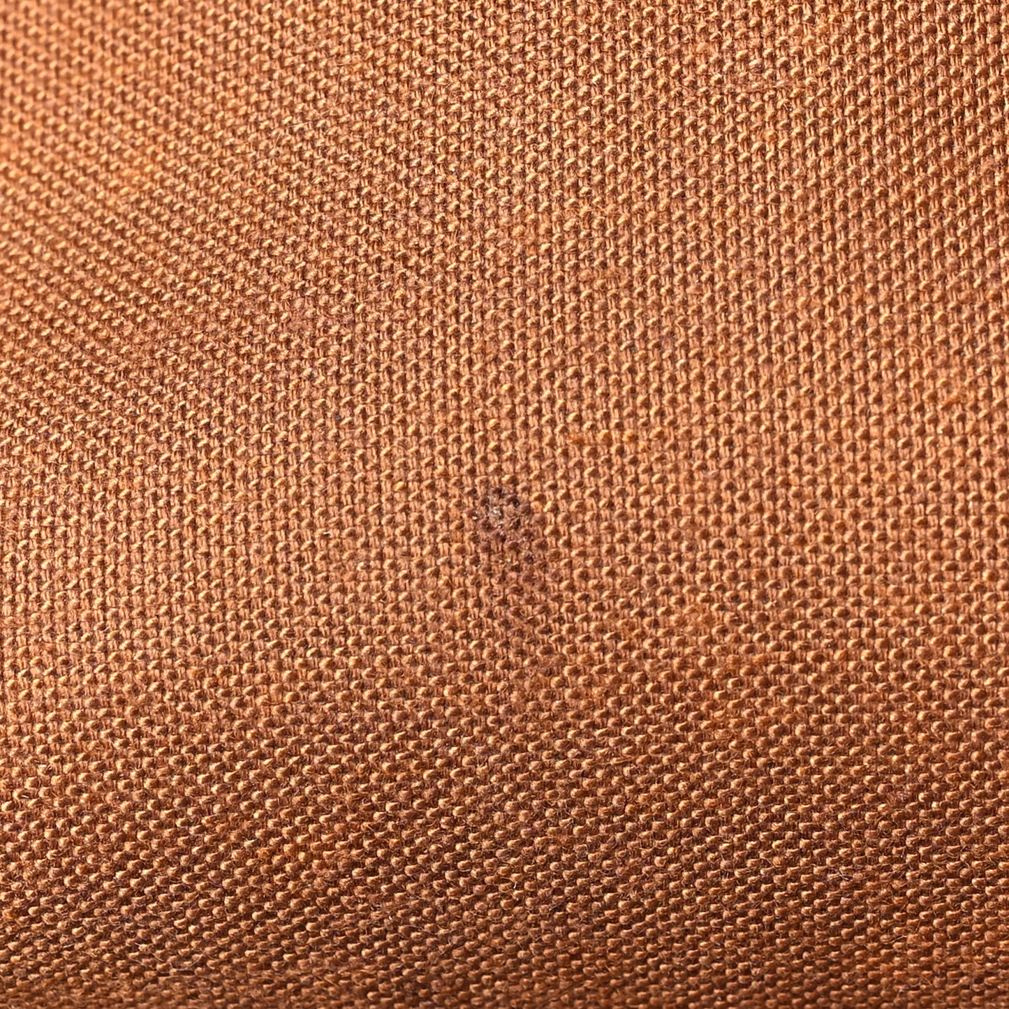 Monogram Saumur 30