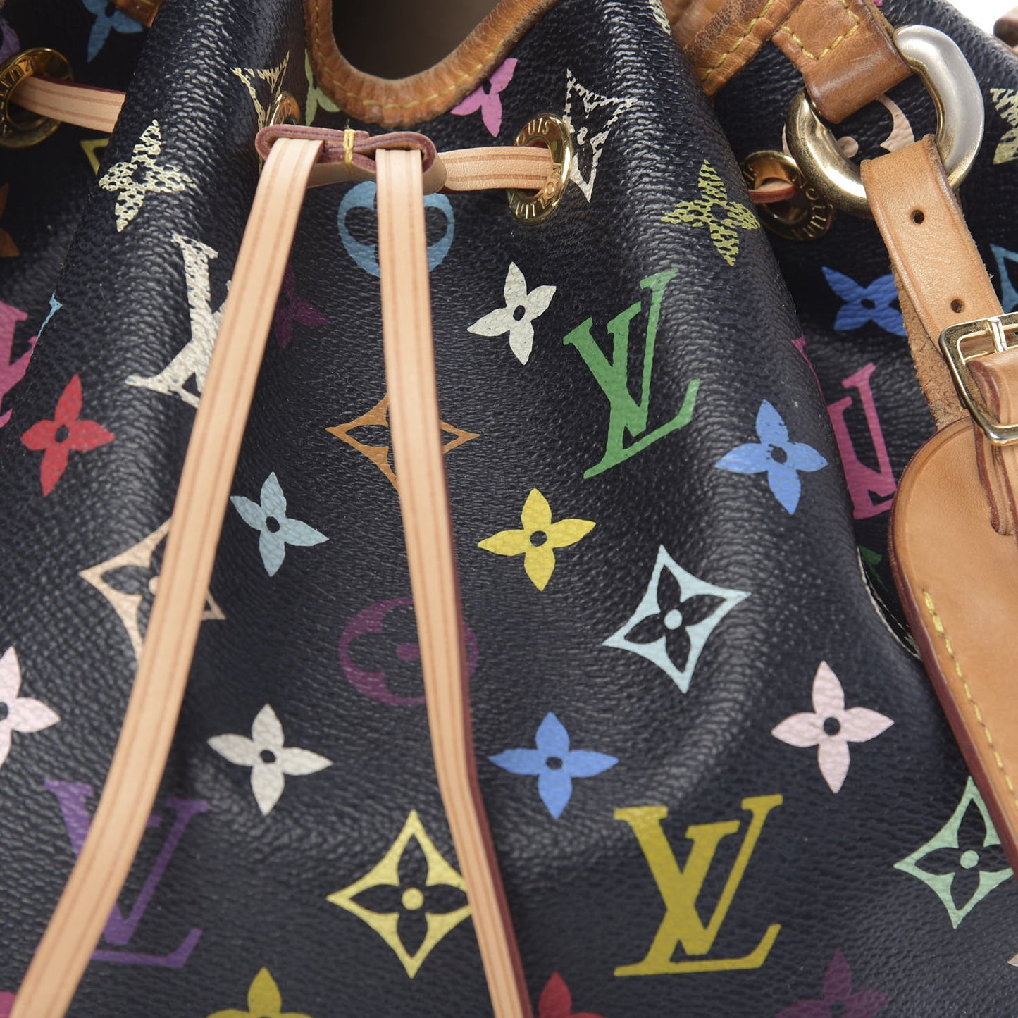 Monogram Multicolor Petit Noe Black