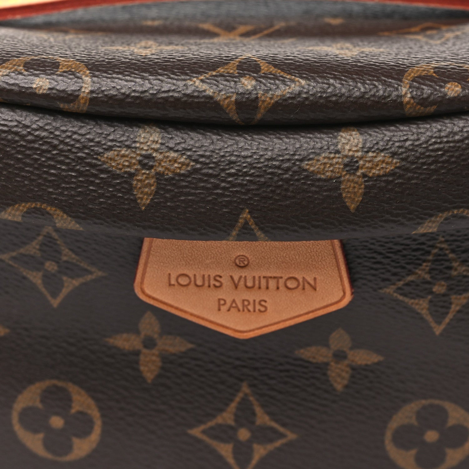 Louis Vuitton Monogram Bumbag 7 of 9