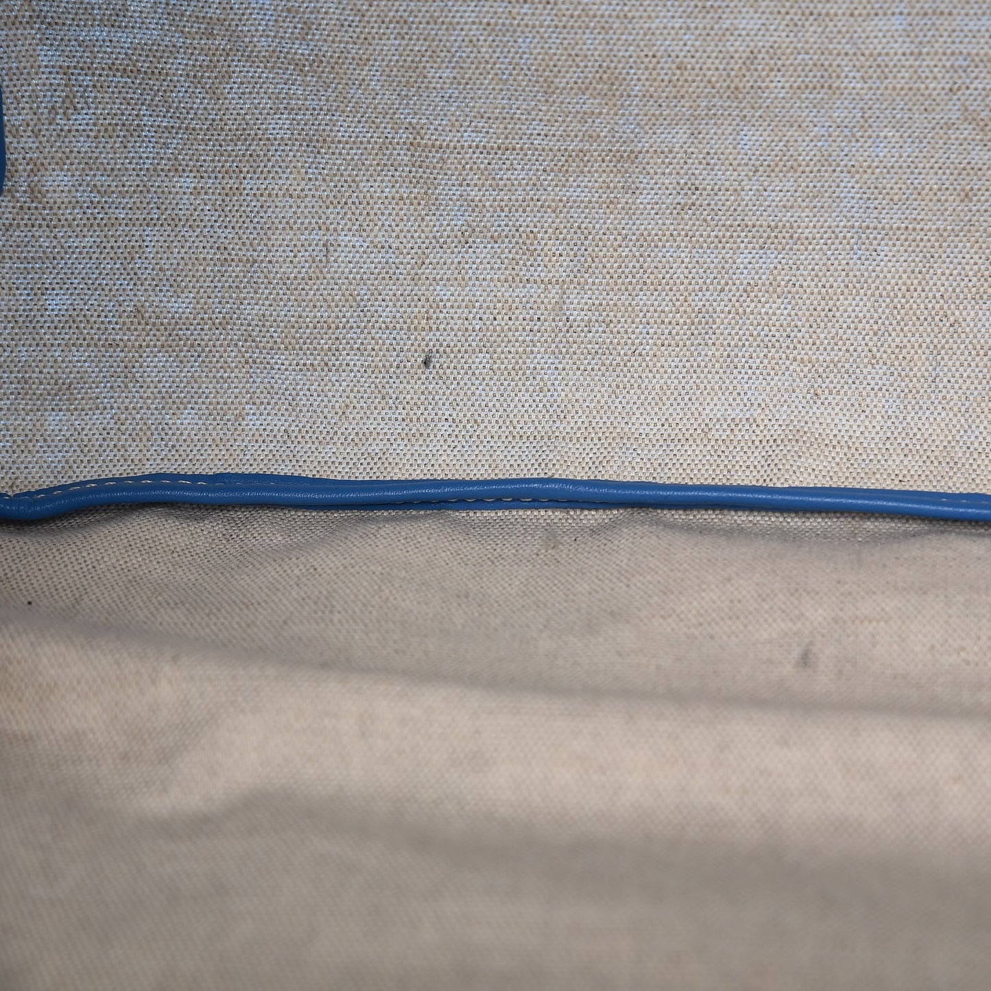 Goyardine Saint Louis PM Sky Blue