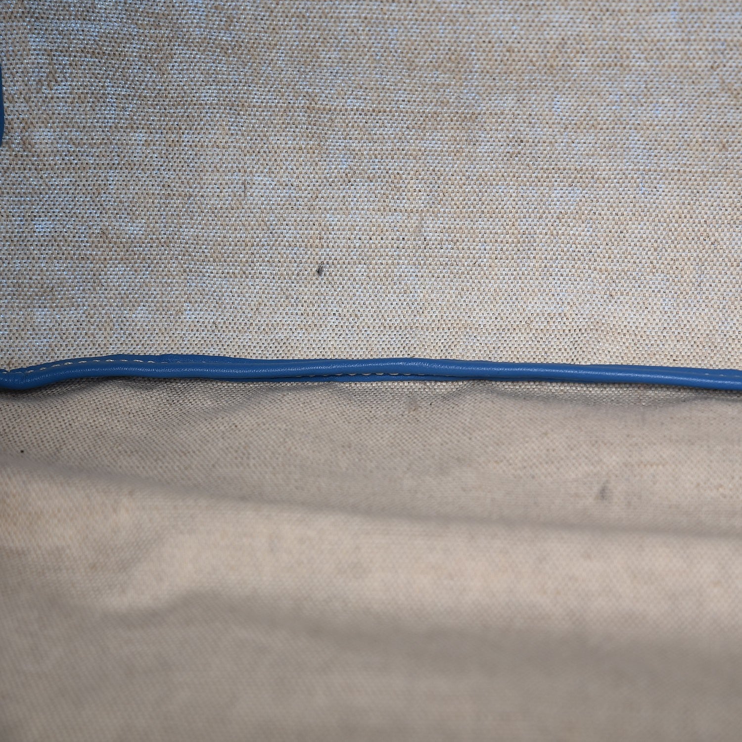 Goyard Goyardine Saint Louis PM Sky Blue 10 of 11