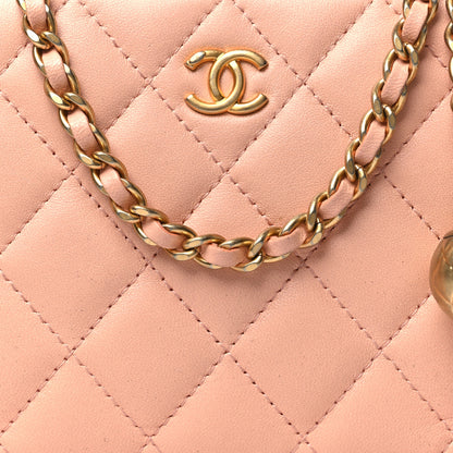 Chanel Lambskin Quilted CC Pearl Crush Camera Case Light Pink 8 of 11