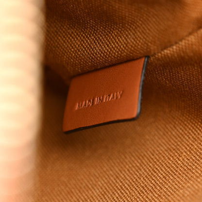 Celine Triomphe Canvas Small Camera Bag Tan 7 of 10