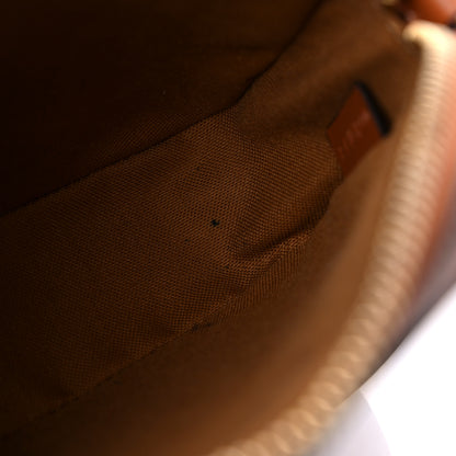 Celine Triomphe Canvas Small Camera Bag Tan 11 of 13