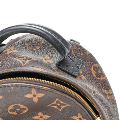 Louis Vuitton Monogram Palm Springs Backpack Mini 12 of 13