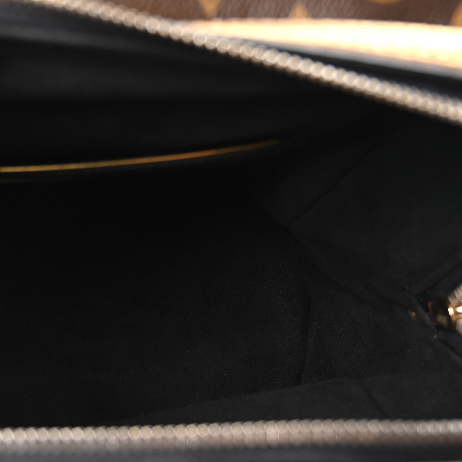 Louis Vuitton Monogram Leopard Adele 5 of 9