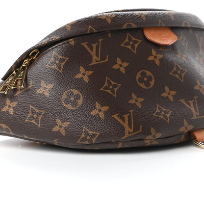 Louis Vuitton Monogram Bumbag 6 of 10