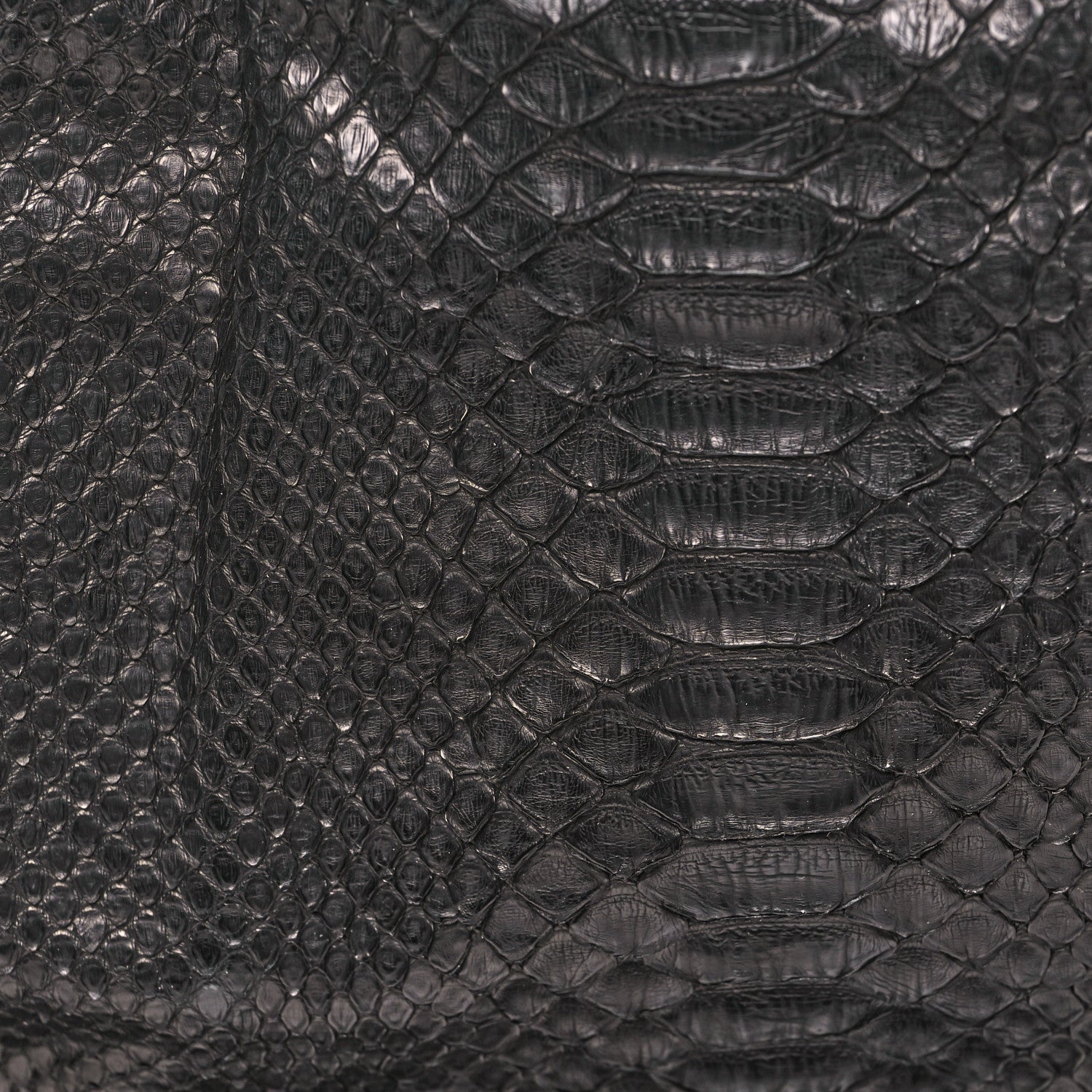 Chanel Snakeskin Rock and Chain Hobo Black 8 of 10
