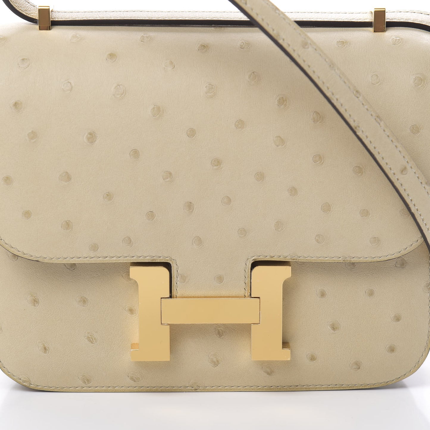 Ostrich Constance 18 Parchemin
