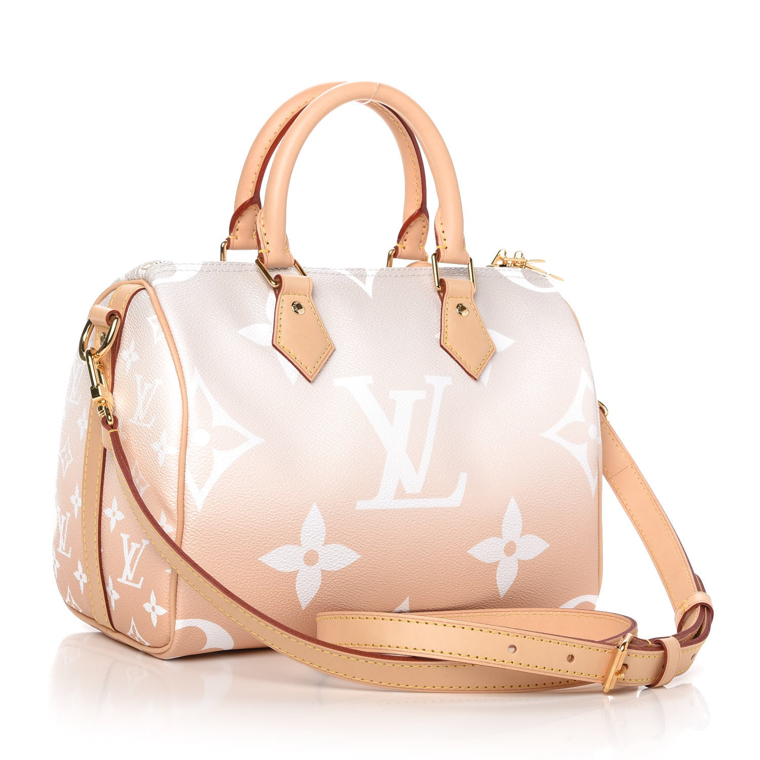 Louis Vuitton Monogram Giant By The Pool Speedy Bandouliere 25 Brume 3 of 11