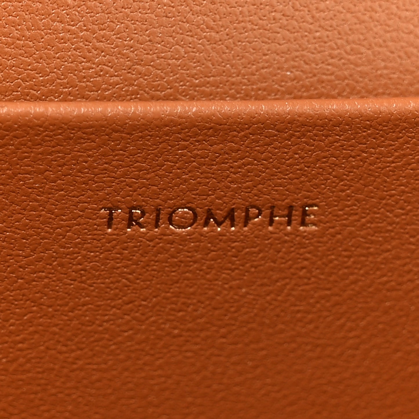 Triomphe Canvas Calfskin Medium Triomphe Bag Tan