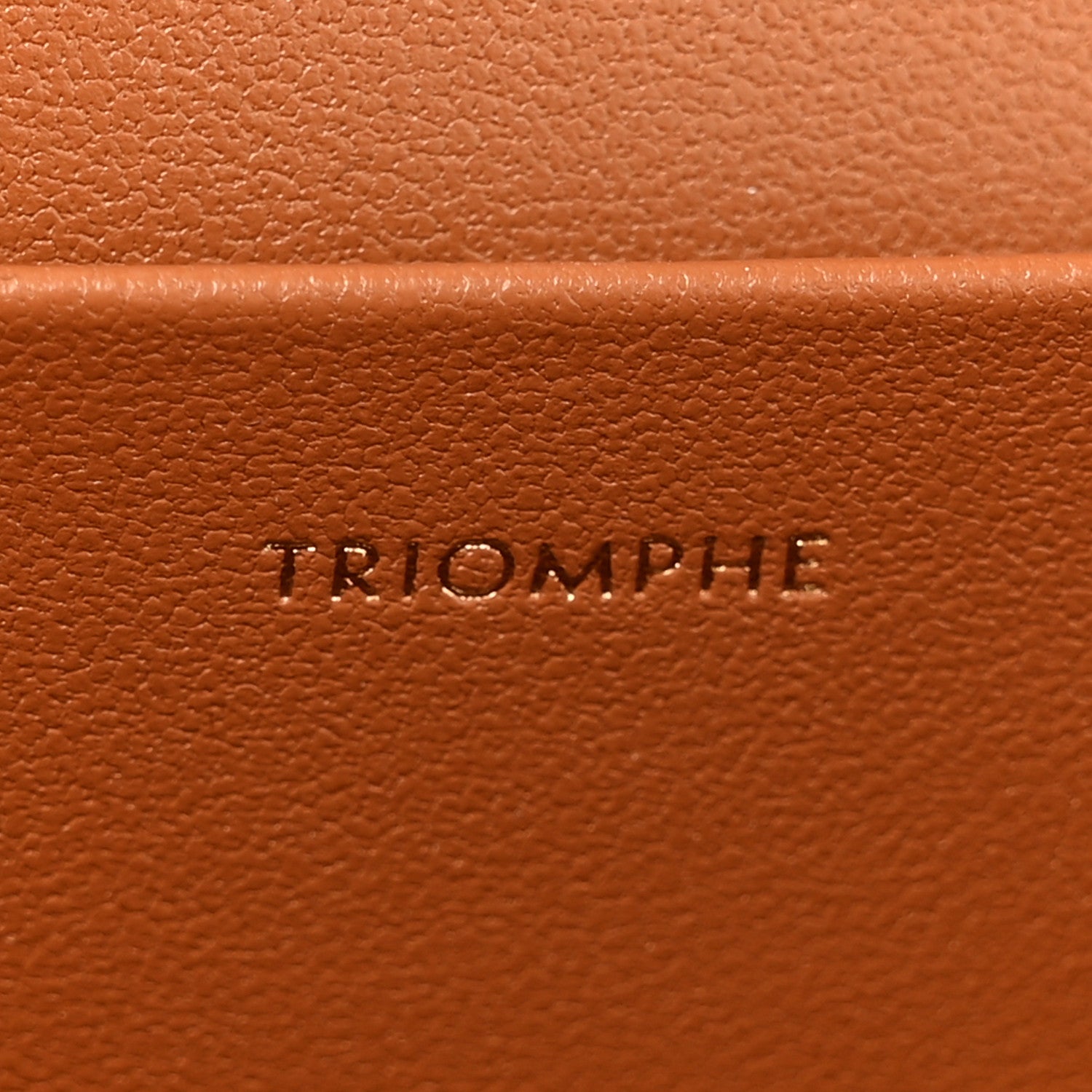Celine Triomphe Canvas Calfskin Medium Triomphe Bag Tan 7 of 13