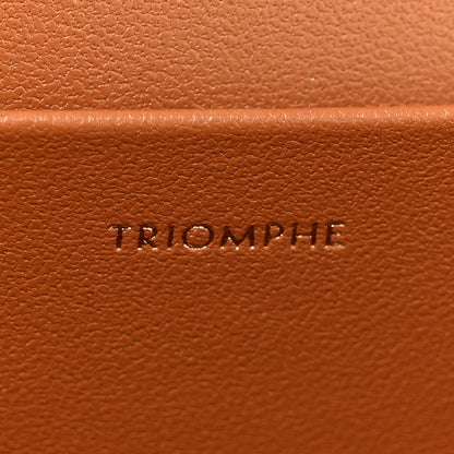 Celine Triomphe Canvas Calfskin Medium Triomphe Bag Tan 7 of 13
