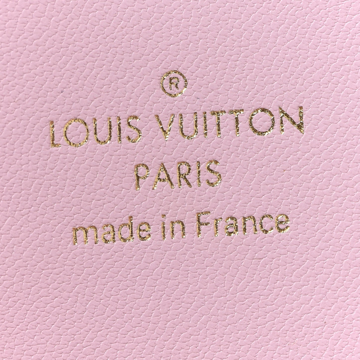 Monogram Giant By The Pool Large Kirigami Pochette Pink