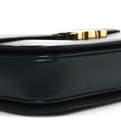 Celine Shiny Calfskin Medium Triomphe Amazone 10 of 11