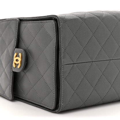 Chanel Caviar Quilted Medium Chanel 25 Handbag Dark Grey 11 of 11