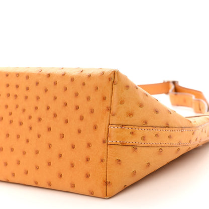 Hermes Ostrich Berlingot 23 PM Saffron 9 of 12