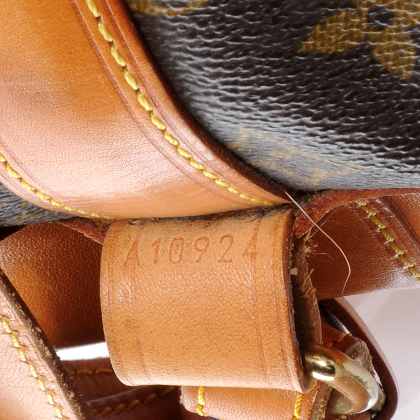 Monogram Randonnee GM Backpack