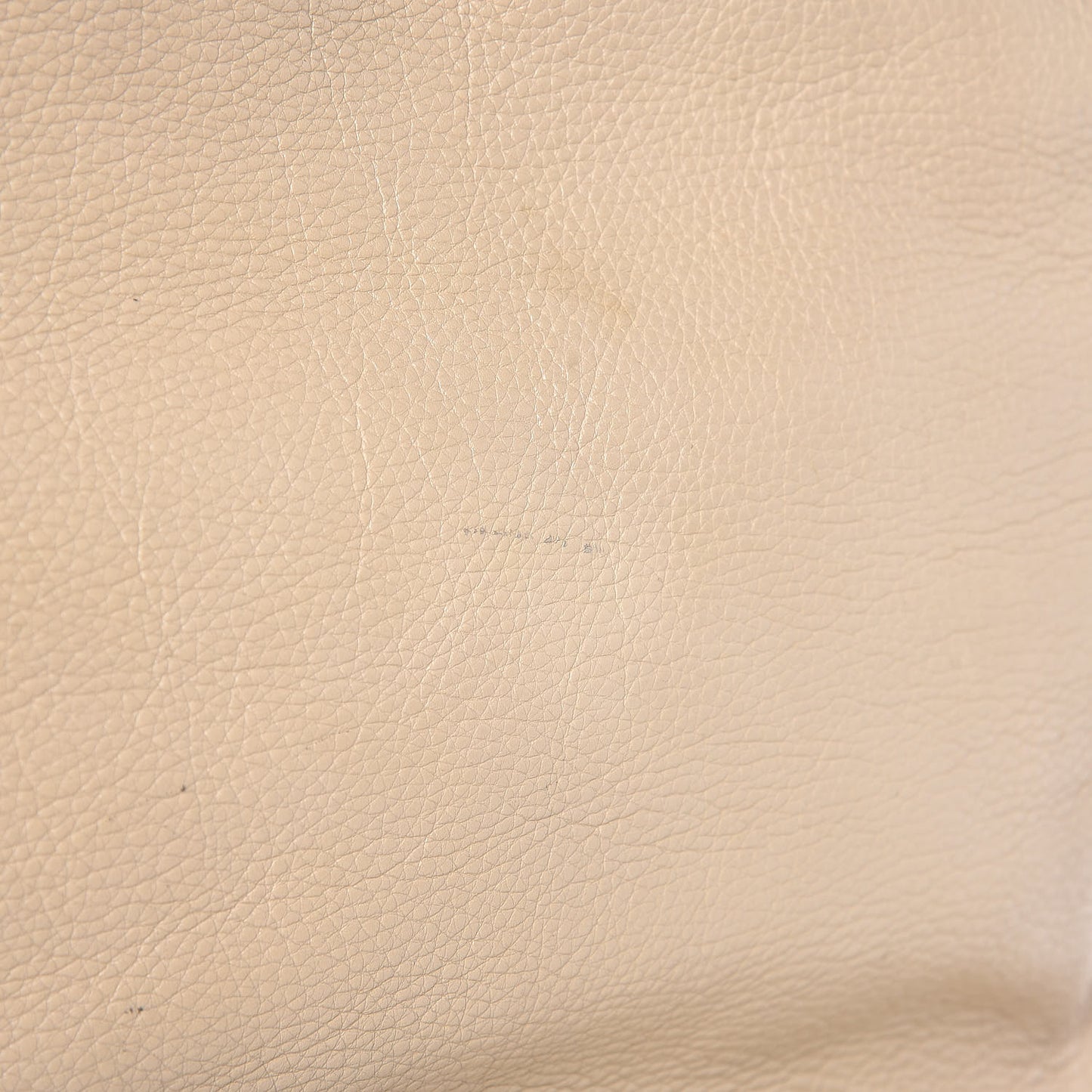 Calfskin Large New Marcie Tote Beige