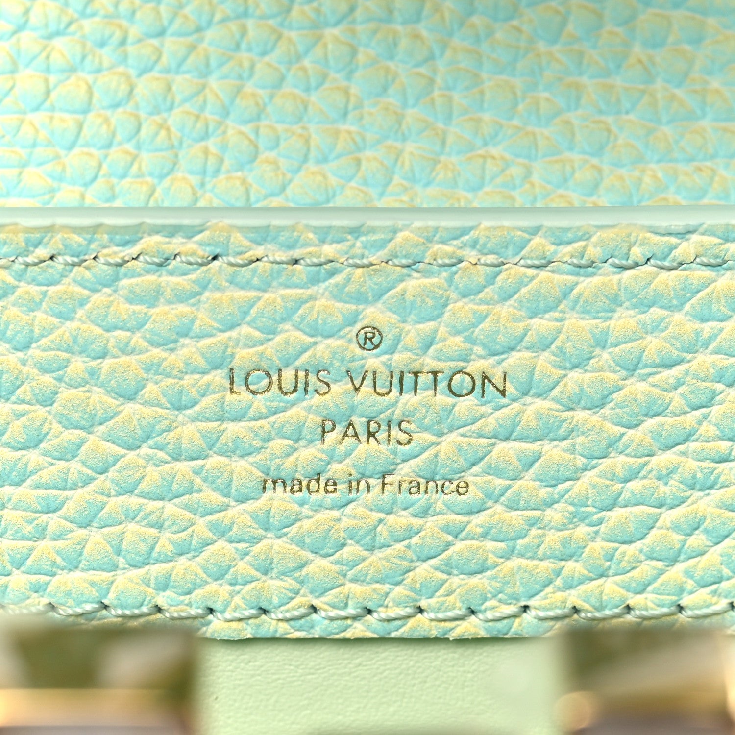 Louis Vuitton Taurillon Summer Stardust Mini Capucines  Vert D'eau 6 of 10