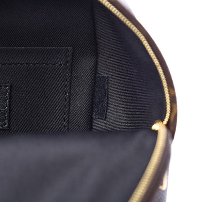 Louis Vuitton Monogram Palm Springs Backpack Mini 8 of 11